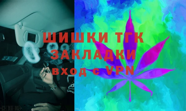 гидра Медногорск