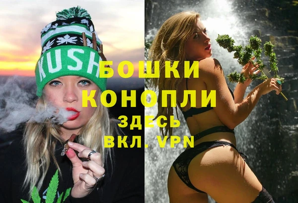 спиды Медвежьегорск