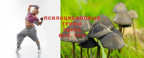 mdpv Осташков