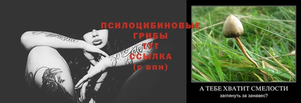 спиды Медвежьегорск