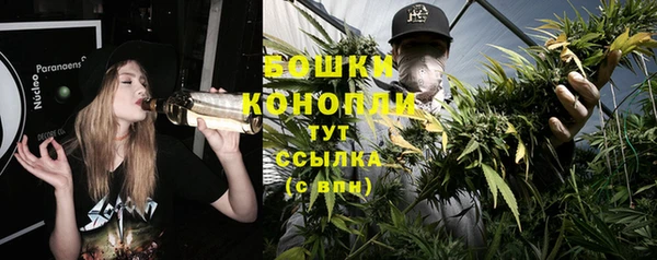 гашик Михайловка