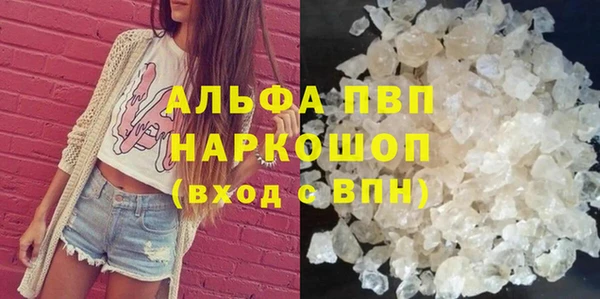 спиды Медвежьегорск