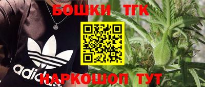 сатива Кимры