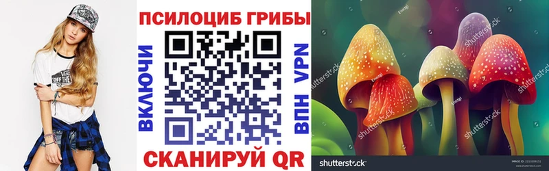 Галлюциногенные грибы MAGIC MUSHROOMS Строитель