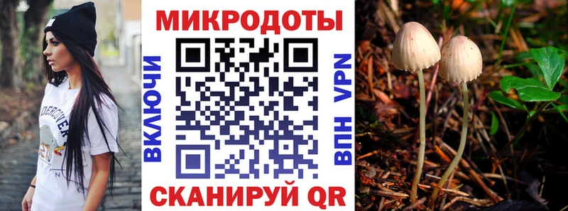 Галлюциногенные грибы Cubensis  наркошоп  Строитель 
